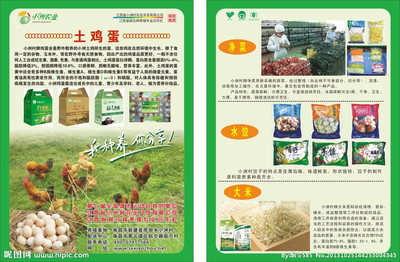 小洲家园传单广告设计全攻略 从矢量图库到DM宣传单的实操指南
